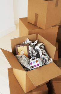 Copy of Copy of mini storage (9).png